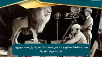 «ملك الشاشة» اليوم العالمى لملك الغابة كيف بنى أسد هوليوود إمبراطوريته القوية؟